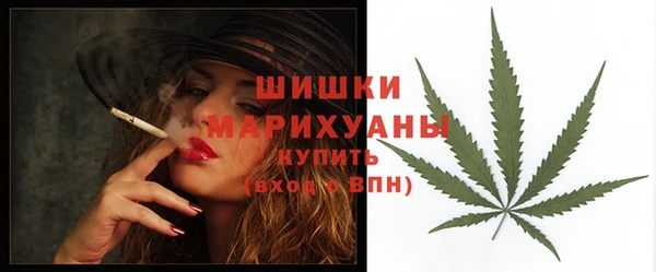 спиды Краснослободск