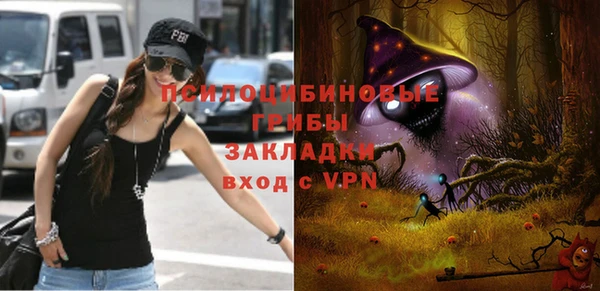 мдпв Красноперекопск